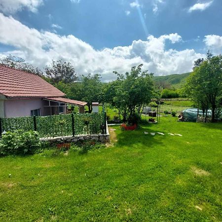 Village FLOWER IVY Nikšić Eksteriør billede