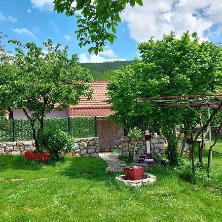 Village FLOWER IVY Nikšić Eksteriør billede